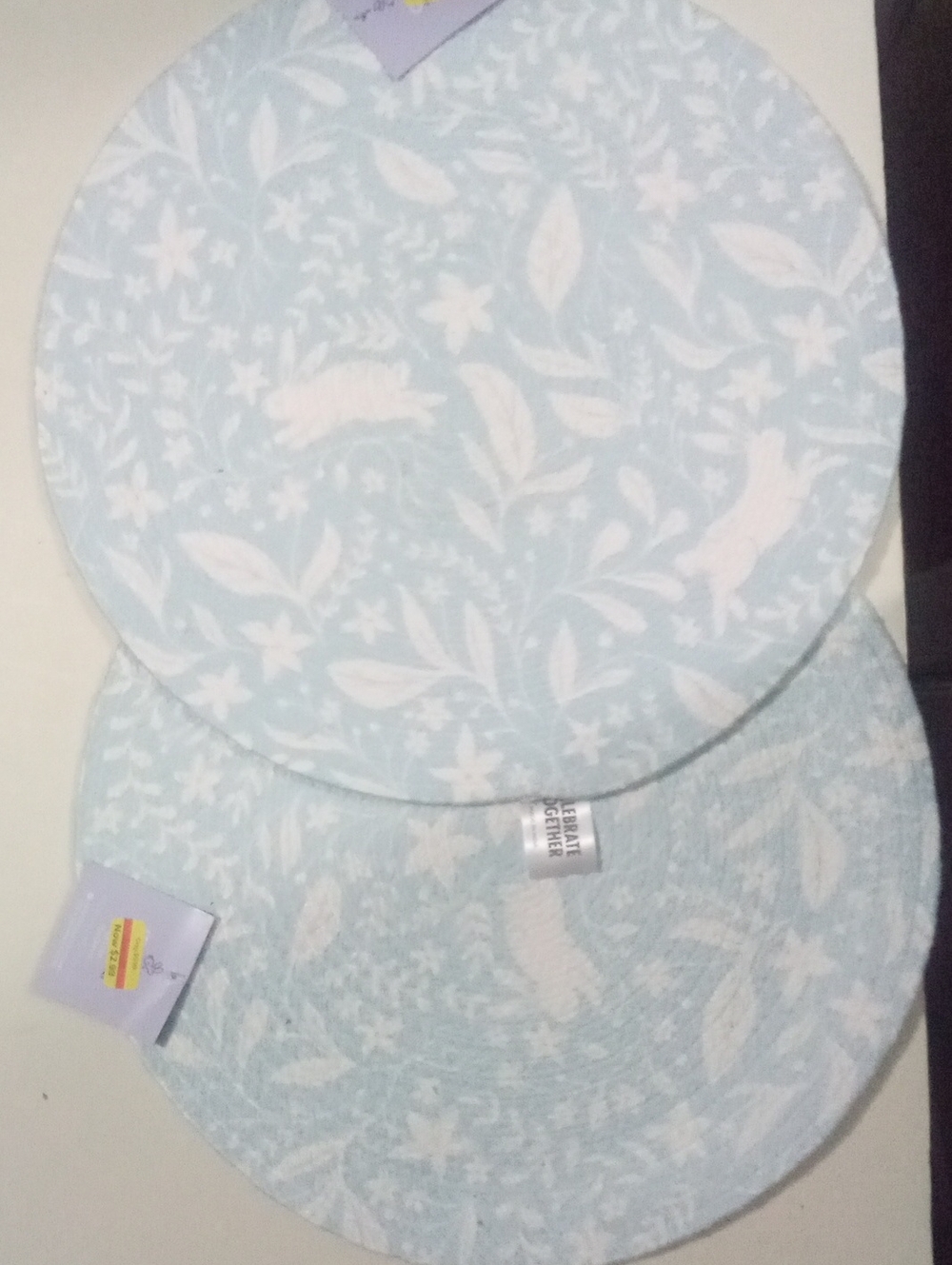 Pastel Blue Floral Round Placemats Set of 2 NWT $19.98 Celebrate Together